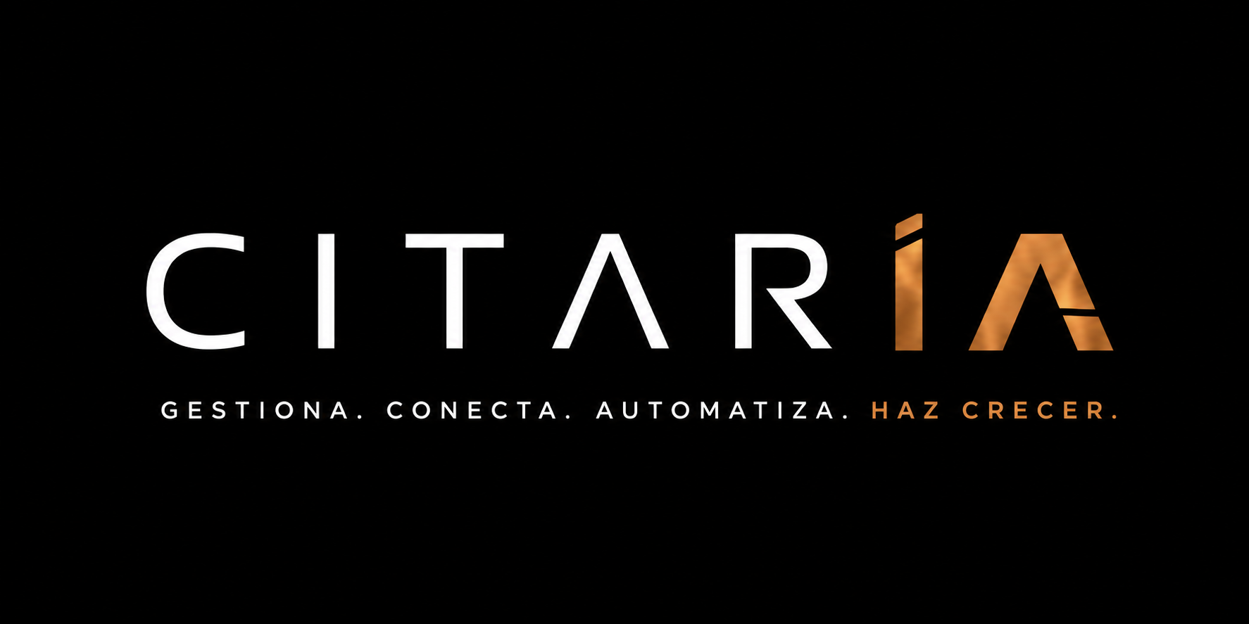 Citari IA